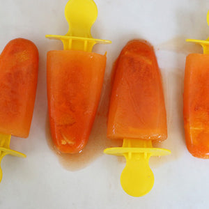 CARROT GINGER BONE BROTH POPSICLES